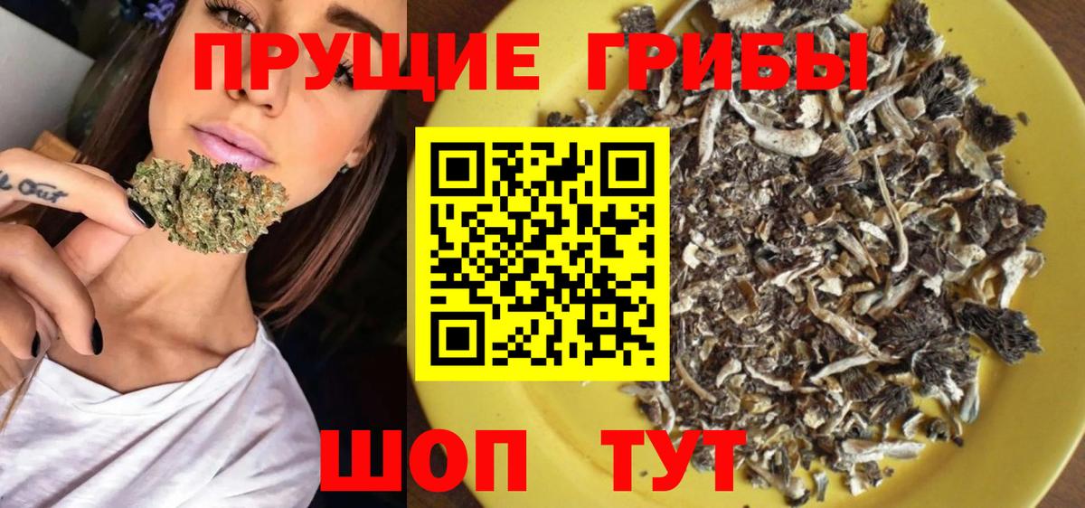 Галлюциногенные грибы Cubensis Среднеуральск