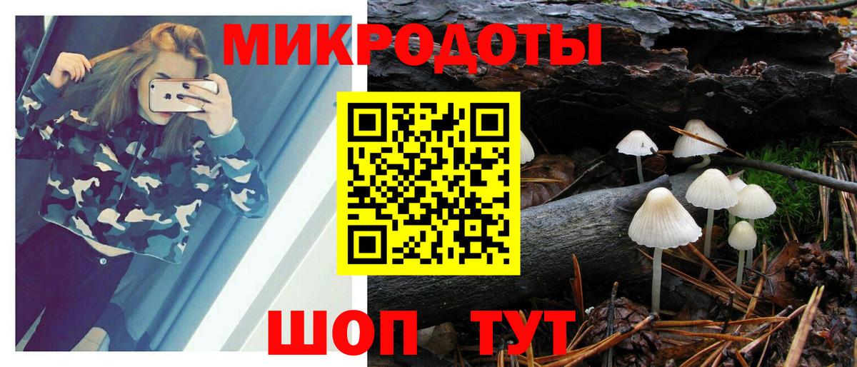 Среднеуральск  Галлюциногенные грибы GOLDEN TEACHER  цены наркотик  Вход с VPN 